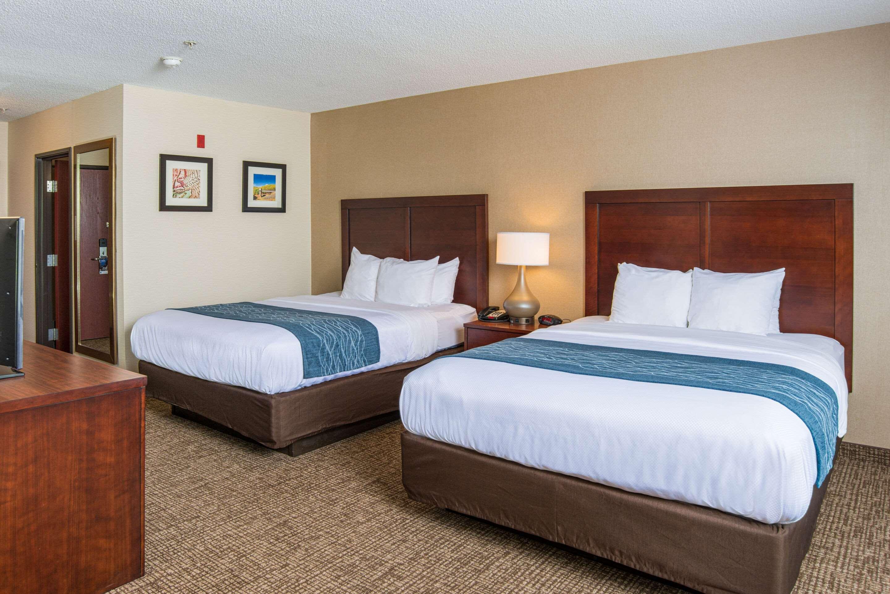 Comfort Inn Naugatuck-Shelton, Ct Zewnętrze zdjęcie