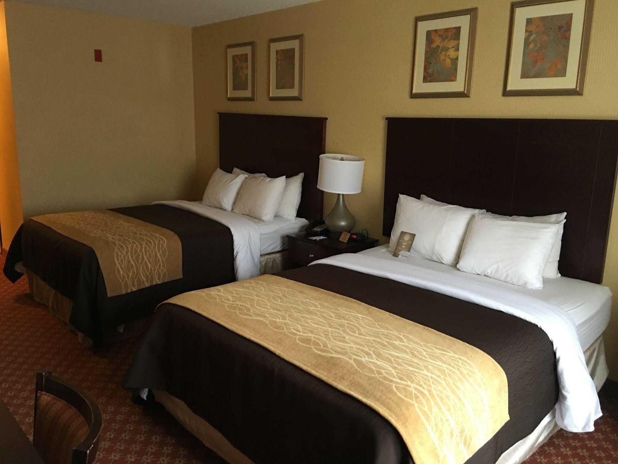 Comfort Inn Naugatuck-Shelton, Ct Zewnętrze zdjęcie